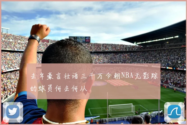 去年豪言壮语三千万今朝NBA无影踪的球员何去何从