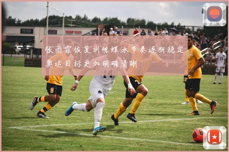 张雨霏恢复训练蝶泳节奏逐渐稳定奥运目标更加明确清晰